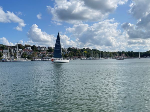 Zum Kochen an die Flensburger Förde